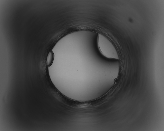 X0000100500505200806130732