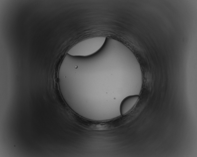 X0000100500506200806130732