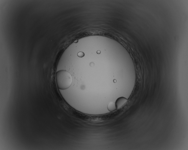 X0000100500507200806130732