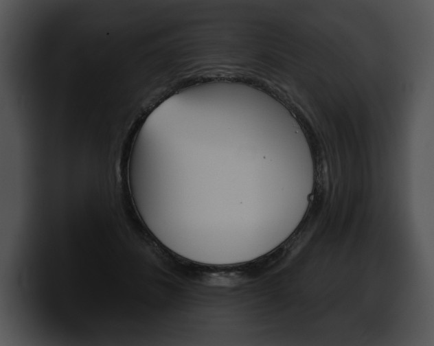 X0000100500508200806130732