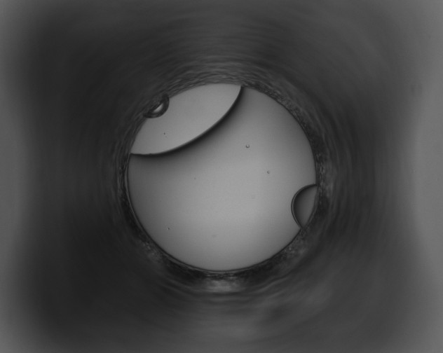 X0000100500510200806130732