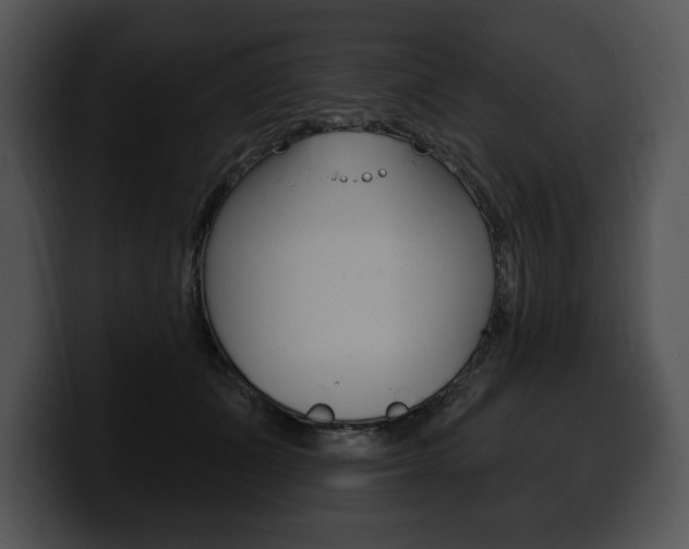 X0000100500511200806130732