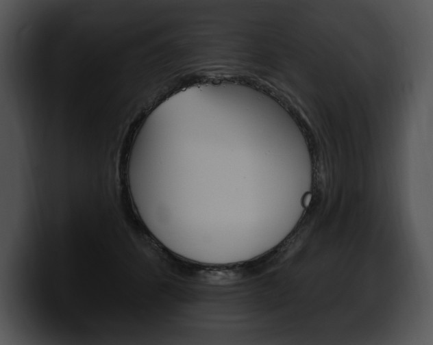 X0000100500512200806130732