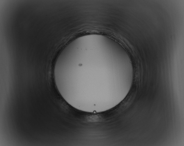 X0000100500513200806130732