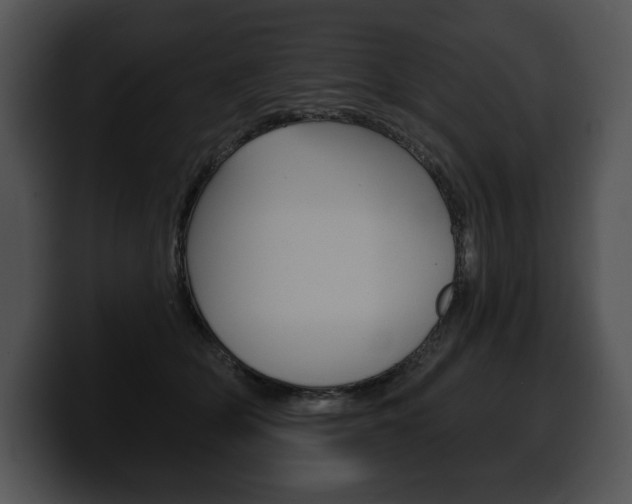 X0000100500514200806130732