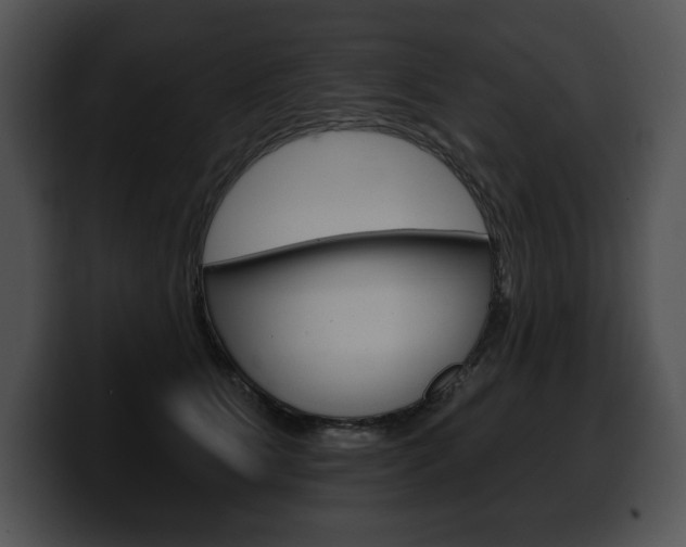 X0000100500515200806130732