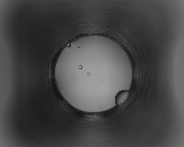 X0000100500516200806130732