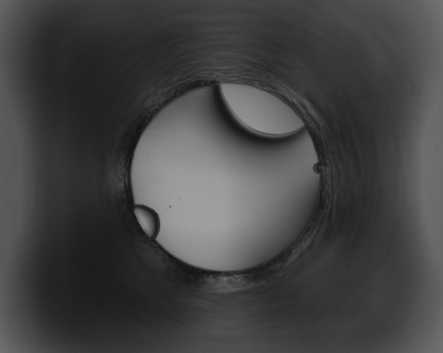 X0000100500517200806130732