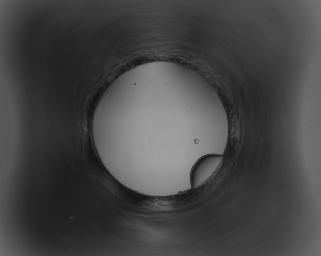 X0000100500518200806130732