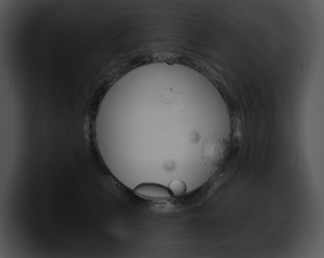 X0000100500519200806130732