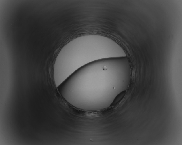 X0000100500520200806130732