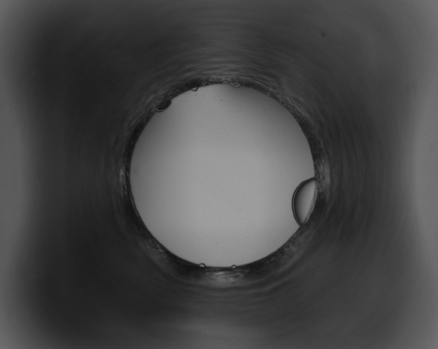 X0000100500522200806130732