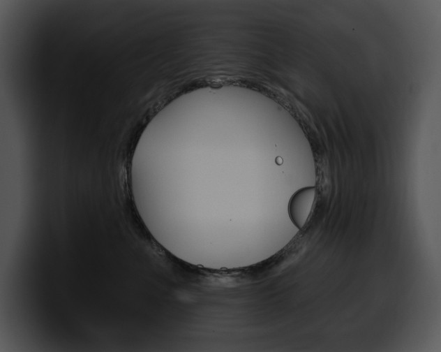 X0000100500523200806130732