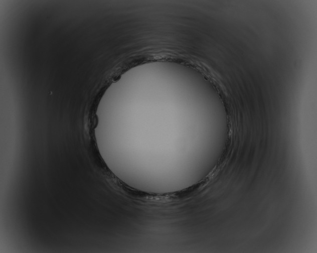 X0000100500524200806130732