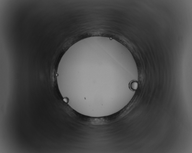 X0000100500525200806130732