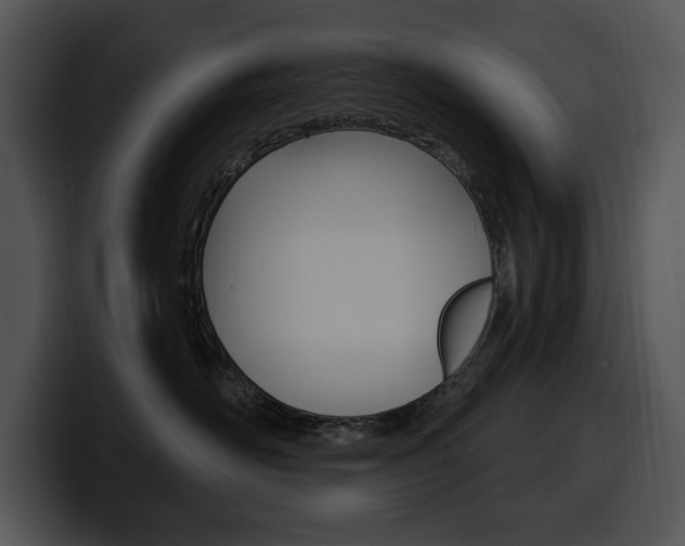 X0000100500526200806130732