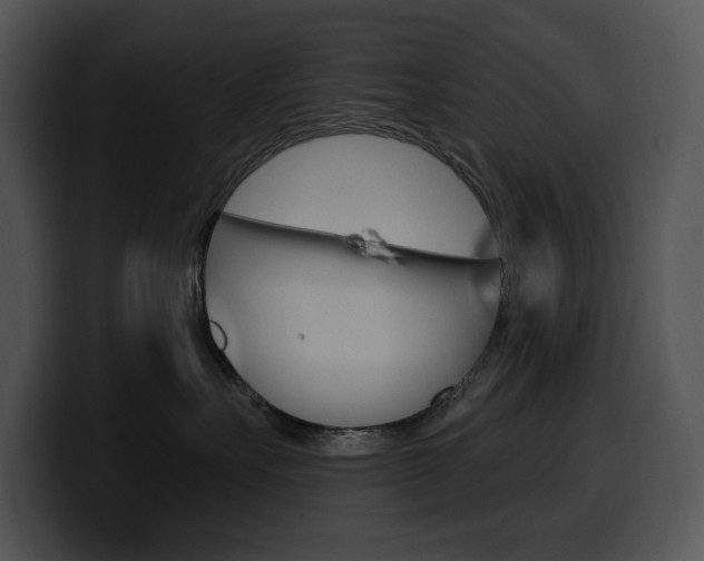 X0000100500527200806130732
