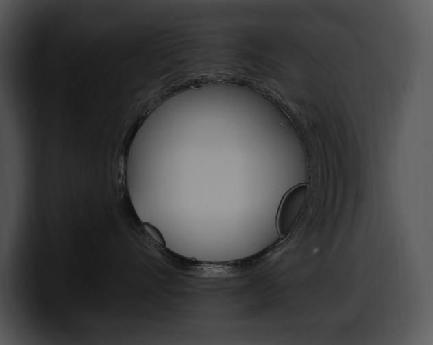 X0000100500528200806130732