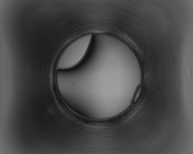 X0000100500530200806130731