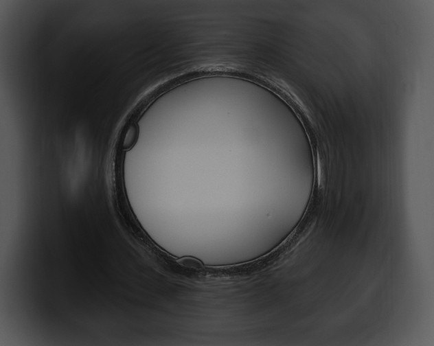 X0000100500531200806130731