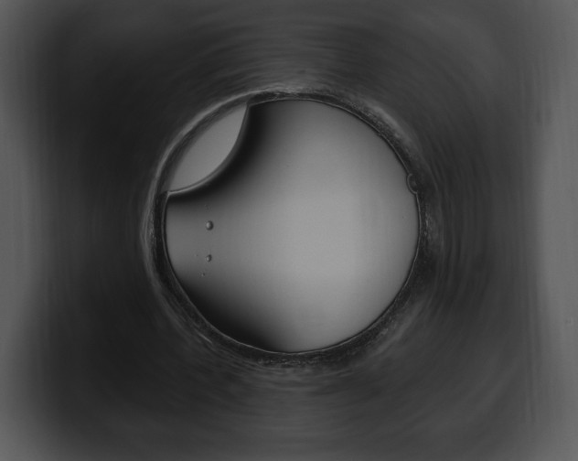 X0000100500532200806130731