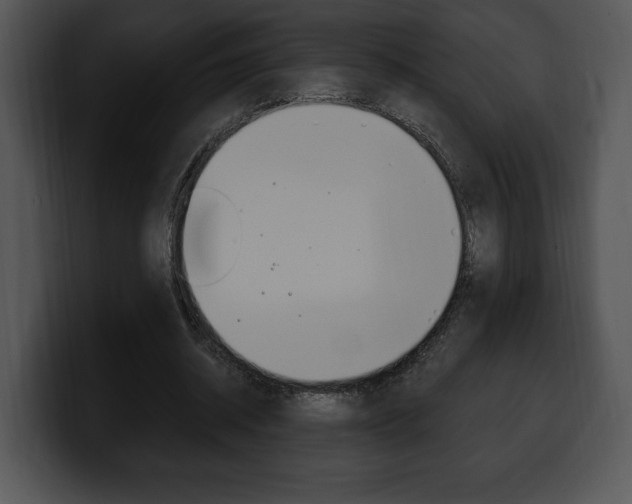 X0000100500534200806130731