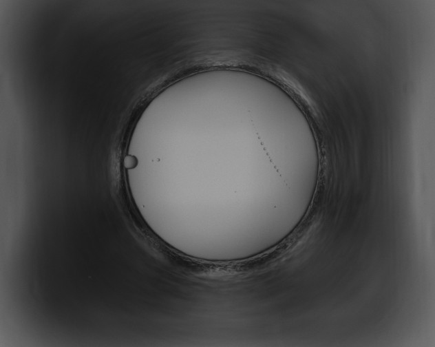 X0000100500537200806130731