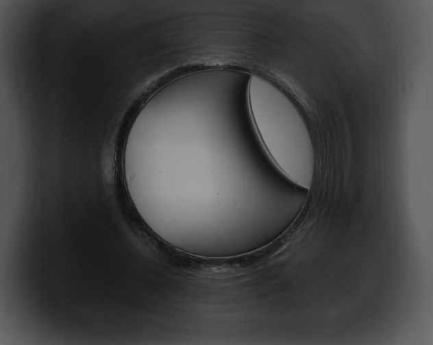 X0000100500540200806130731