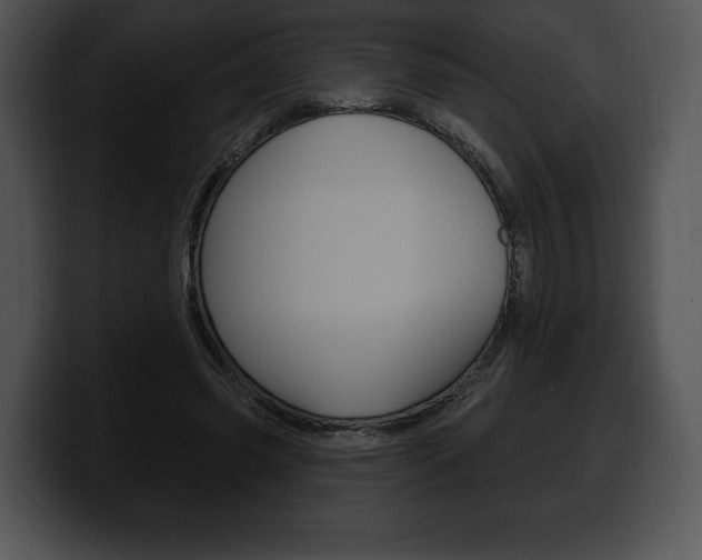 X0000100500541200806130731