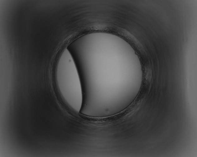 X0000100500542200806130731