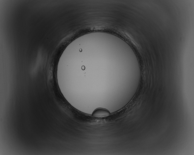 X0000100500543200806130731