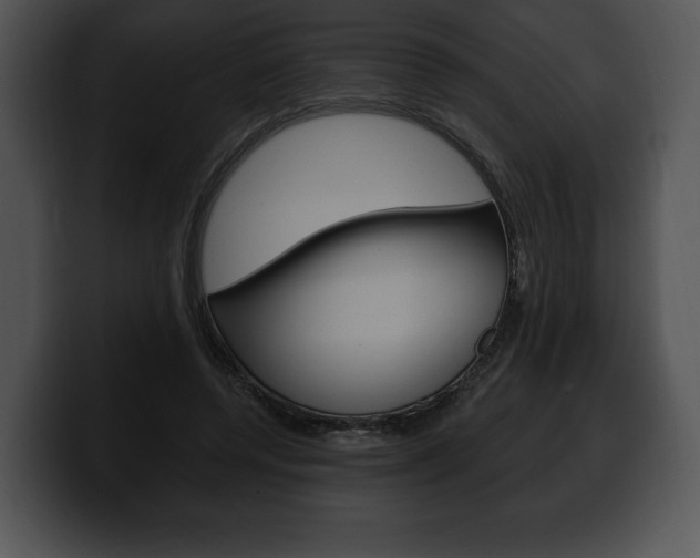X0000100500544200806130731