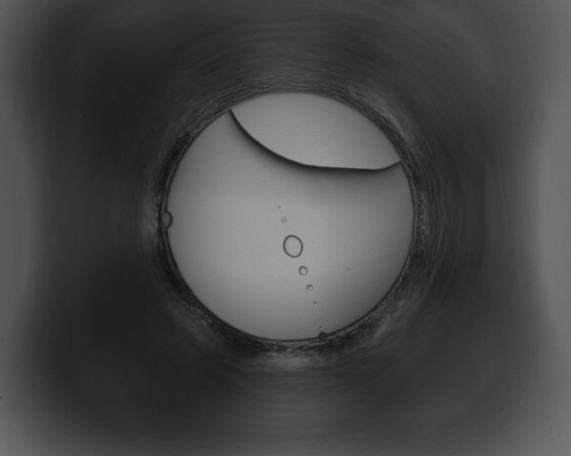 X0000100500545200806130731