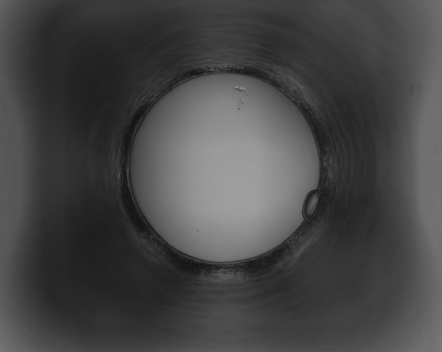 X0000100500546200806130731