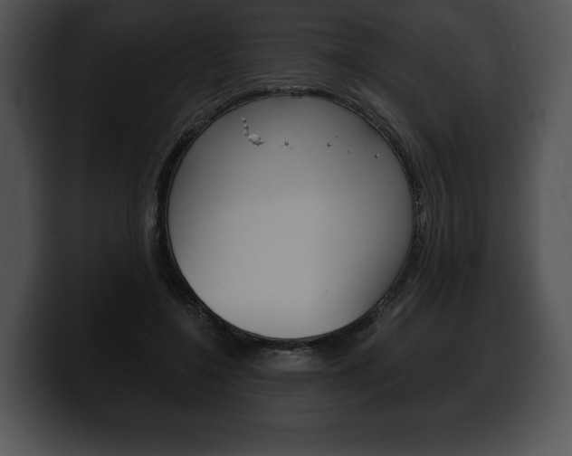X0000100500548200806130731