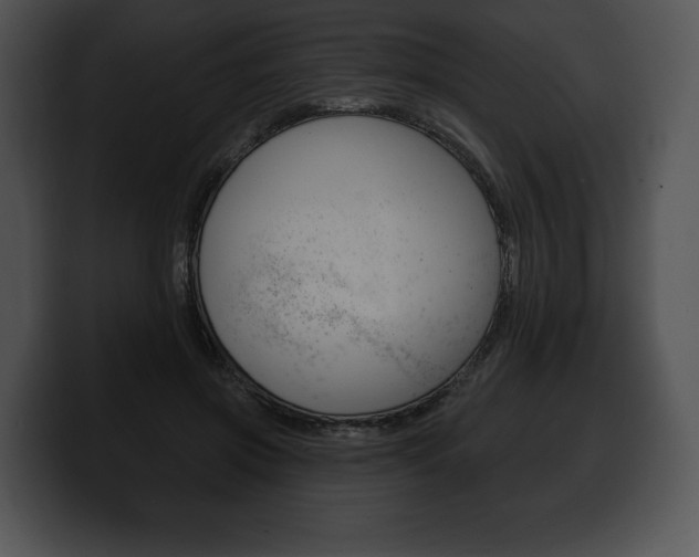 X0000100500549200806130732