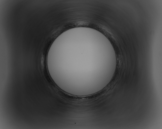 X0000100500550200806130732