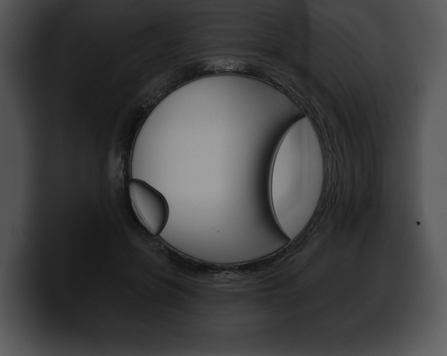 X0000100500551200806130732