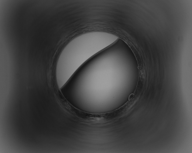 X0000100500552200806130732