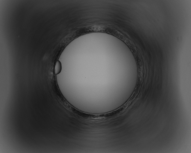 X0000100500553200806130732