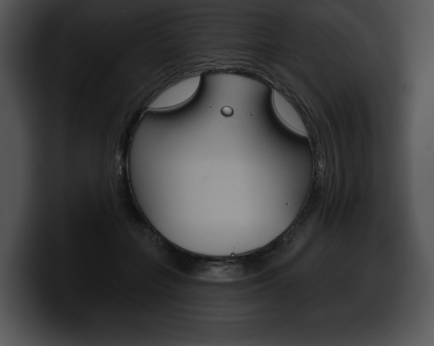 X0000100500555200806130732