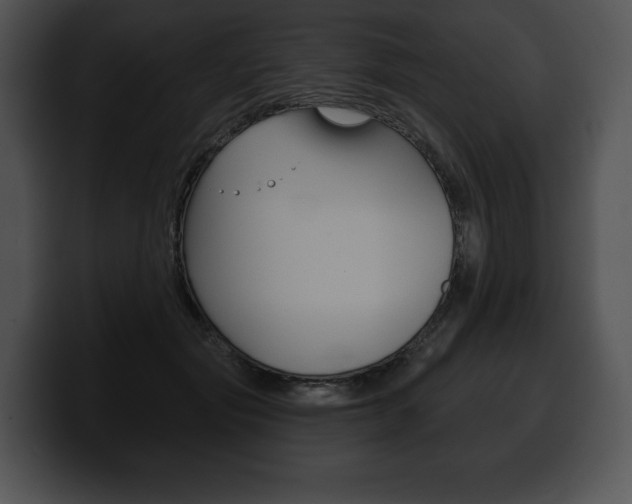 X0000100500557200806130732