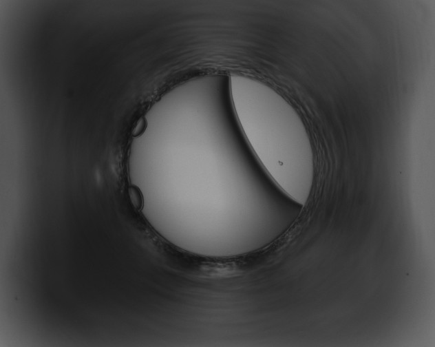 X0000100500559200806130732