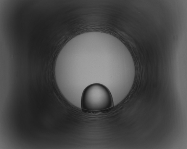 X0000100500560200806130732