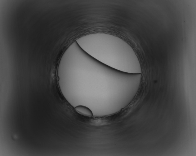 X0000100500561200806130732