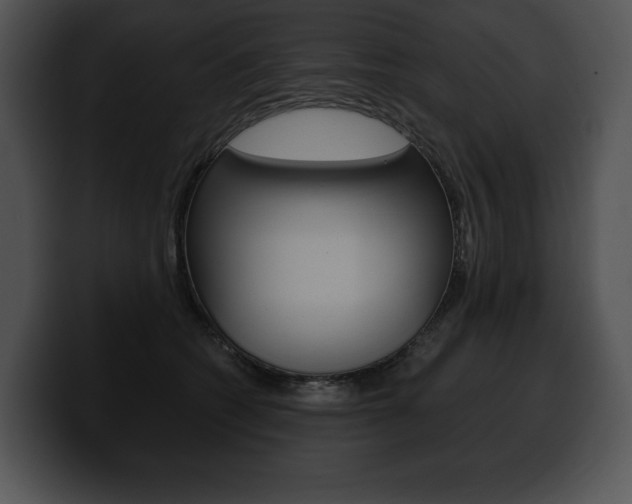 X0000100500562200806130732
