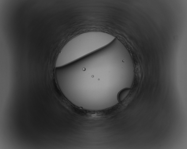 X0000100500564200806130732