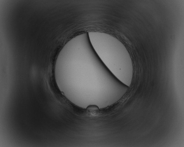 X0000100500565200806130732
