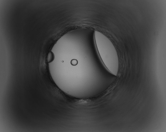 X0000100500566200806130732