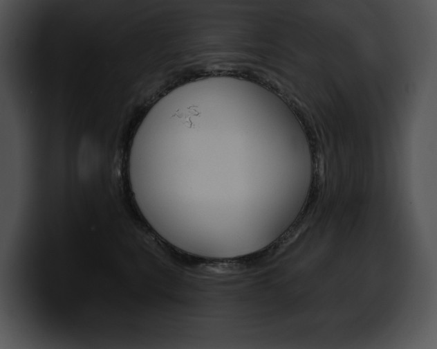 X0000100500567200806130732